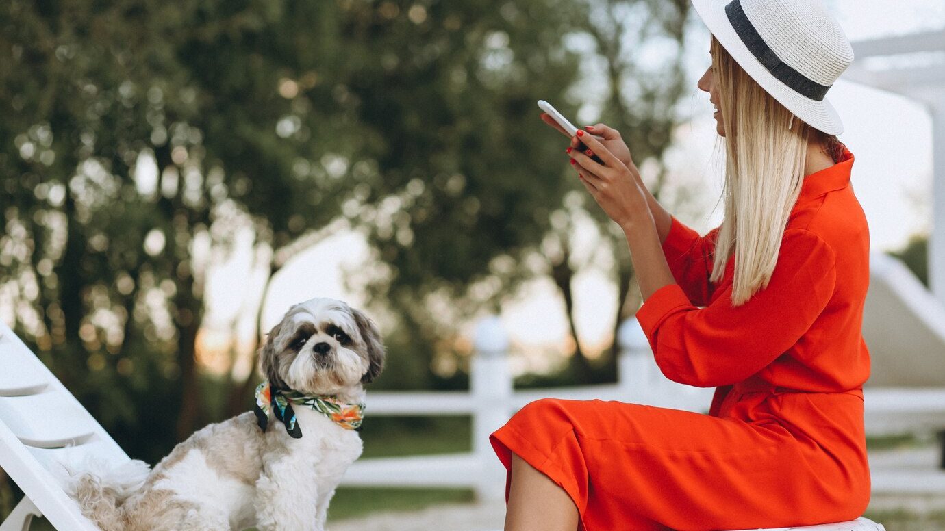 The Best Pet-Friendly Hotel Brands in 2024