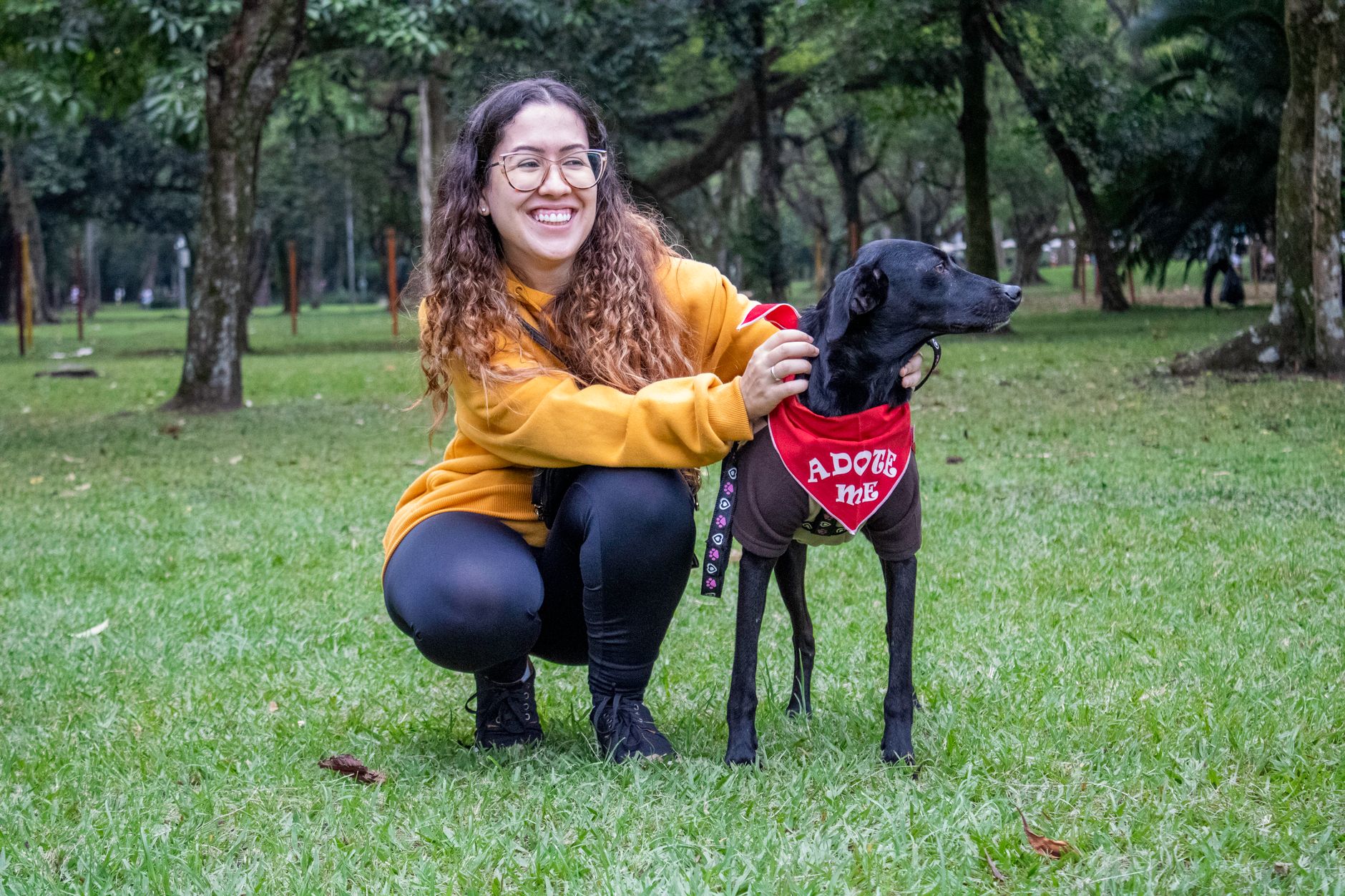Descubra Como Adotar Facilmente